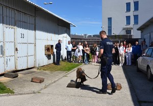 uczniowie uczestniczą w pokazie tresury psa służbowego