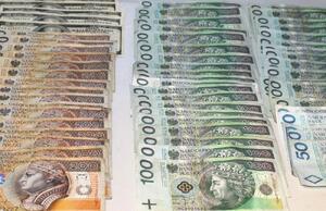 banknoty w różnych nominałach, złotówki i dolary