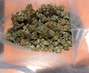 zabezpieczona przez policjantów marihuana