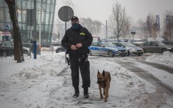 policjant z psem służbowym patroluje rejon gdzie odbywały się spotkania V4