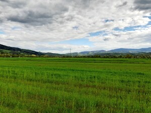 pole uprawne, w tle góry - zdjęcie ilustracyjne