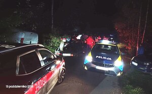 Poszukiwania w masywie leśnym za zaginioną kobietą