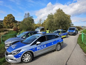 policyjne radiowozy, obok umundurowani policjanci