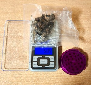 na wadze zabezpieczony susz