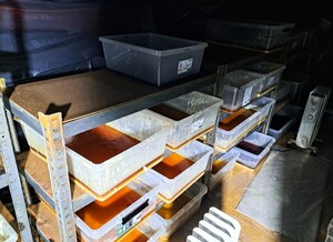 pojemniki substancją ułożone na stojakach