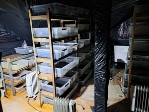 pojemniki z krystalizującą się cieczą ułożone na stojakach