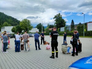 uczestnicy pikniku oglądają pokaz psa służbowego