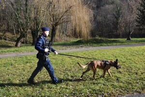 policjant i pies służbowy w terenie
