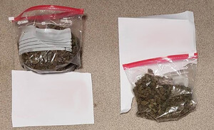 zabezpieczony susz w workach strunowych