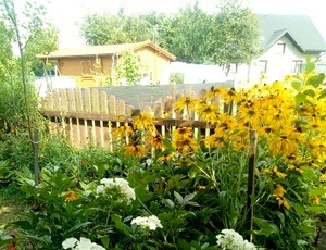 ogródek działkowy, na pierwszym planie kwitnące kwiaty, w oddali widać altany