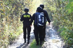 Trzech policjantów idących leśną drogą