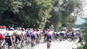 1. Peleton podczas wyścigu