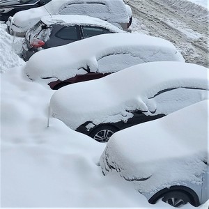 kilka zaśnieżonych samochodów na parkingu