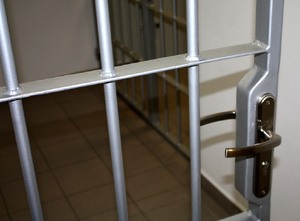 metalowe drzwi-krata