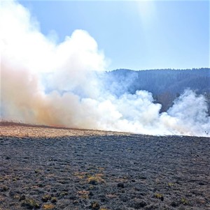 ogień, kłęby dymu i spory wypalony obszar