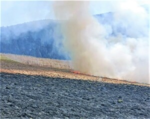 płonące suche trawy, nad nimi kłęby dymu
