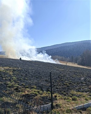 strażacy dogaszają płonące trawy, wypalony obszar sięga metalowego ogrodzenia posesji