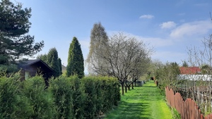 ogródki działkowe, w oddali widoczne altany