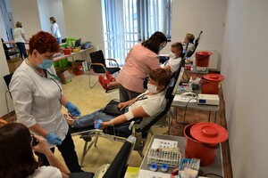 osoby oddające krew siedzą na leżankach, obok personel RCKiK