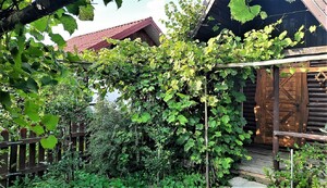 altany na terenie ogródków działkowych - zdjęcie ilustracyjne