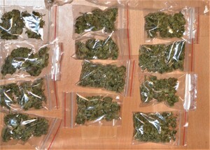 część zabezpieczonego suszu znajduje się w małych woreczkach strunowych