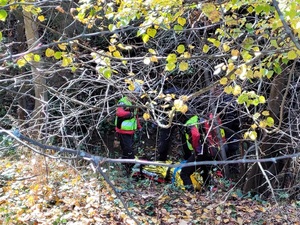 zarośla, ratownicy GOPR transportują poszkodowanego