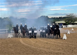 policjanci prewencji na koniach oraz z tarczami podczas ćwiczeń