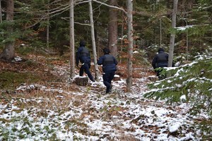 7. trójka policjantów przeszukuje las