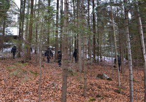 8. policjanci sprawdzają las w poszukiwaniu przestępców