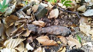 znaleziony skorodowany pocisk moździerzowy