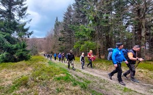 7. uczestnicy rajdu idą drogą przez las
