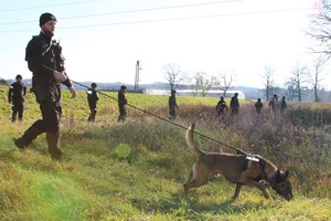 policjant z psem służbowym, za nim policjanci przeszukują teren